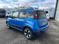 occasion Fiat Panda Cross 1.0 70ch BSG S&S - VIVA190390866