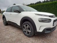 Occasion Citroën C4 Cactus Feel 102 ch (75 kW) 2020 Blanc Citadine