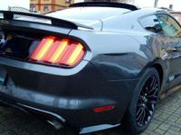 occasion Ford Mustang GT 5.0 l v8 19p hors homologation 4500e