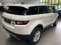 occasion Land Rover Range Rover evoque 2.0 D150 AWD