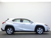 occasion Lexus UX 250h 2WD Pack MY21 - VIVA197069456