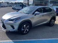 occasion Lexus NX300h 4WD Executive Innovation MY21