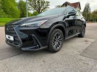 occasion Lexus NX350h hybride luxe