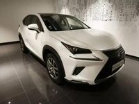 Occasion Lexus NX300h 155 ch (114 kW) 2018 Blanc arctique SUV