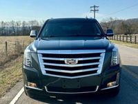 occasion Cadillac Escalade 2019