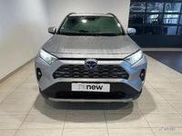 Occasion Toyota RAV4 Hybrid Active 218 ch (160 kW) 2022 Beige SUV