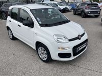 occasion Fiat Panda 1.2 8V 69 ch Pop