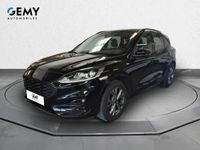 occasion Ford Kuga 2.0 Ecoblue 150 Mhev S&s Bvm6 St-line