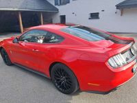 occasion Ford Mustang Fastback 2.3 EcoBoost 317