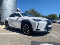 occasion Lexus UX 250h 2WD Premium Edition MY20