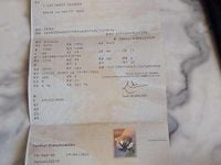 Occasion Skoda Octavia 116 ch (85 kW) 2019 Gris Berline