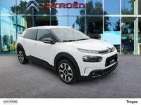 occasion Citroën C4 Cactus Bluehdi 100 S&s Bvm6 Shine Business