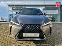 occasion Lexus UX 250h 250h 4WD Executive MY19