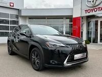 occasion Lexus UX 250h Amazing Ed. 20l