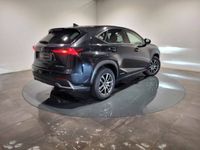 occasion Lexus NX300h 4WD Luxe MM19 - VIVA189477076