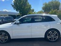 Occasion Audi SQ5 313 ch (230 kW) 2014 Blanc SUV