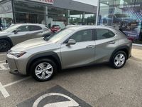 occasion Lexus UX 250h 2WD Pack MY20