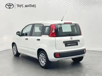 Occasion Fiat Panda 70 ch (51 kW) 2022 Blanc Citadine