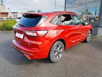 occasion Ford Kuga 2.0 EcoBlue 150 mHEV BVM6