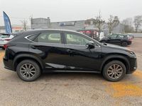 occasion Lexus NX300h 2wd Pack Business