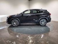 occasion Lexus NX300h 4WD Luxe MM19 - VIVA189477076