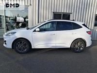 Occasion Ford Kuga ST-Line X 2023 Blanc glacier SUV