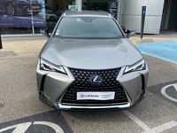 occasion Lexus UX 250h 2WD Pack MY20