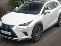 occasion Lexus NX300h 4wd Luxe My20 197cv