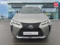 occasion Lexus UX 250h 250h 2WD Luxe MY19