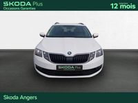 occasion Skoda Octavia Combi 1.6 Tdi 116 Ch Cr Fap Dsg7 Business