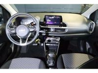 Occasion Kia Picanto 63 ch (46 kW) 2025 Gris Citadine