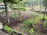 Occasion Mercedes ML350 258 ch (189 kW) 2013 Noir SUV