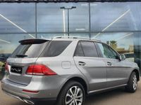 occasion Mercedes GLE350 d 258ch Executive 4Matic 9G-Tronic
