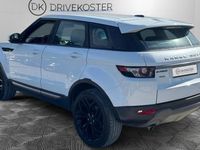 Occasion Land Rover Range Rover evoque Pure 150 ch (110 kW) 2014 Blanc SUV