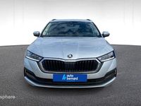 Occasion Skoda Octavia Business Line 150 ch (110 kW) 2023 Gris Break
