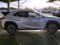 occasion Lexus UX 250h 2WD Luxe