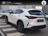 occasion Lexus NX450h+ Nx 450h+ 4WD Luxe - VIVA180249439