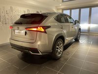 occasion Lexus NX300h 4WD Luxe Euro6d-T