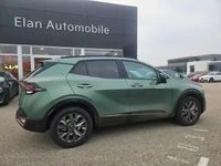 Occasion Kia Sportage 2025 Vert bornéo métallisée SUV