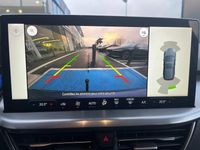 Occasion Ford Focus Business Edition 125 ch (91 kW) 2023 Berline