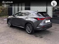 Occasion Lexus NX450h+ 2024 Gris de payne métallisé SUV