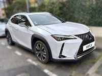 occasion Lexus UX 250h 4WD Executive