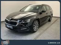 occasion Skoda Octavia M-hev/dsg/ambition/led/pano