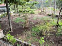 Occasion Mercedes ML350 258 ch (189 kW) 2013 Noir SUV