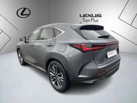 Occasion Lexus NX450h+ Executive Line 188 ch (138 kW) 2023 Gris SUV