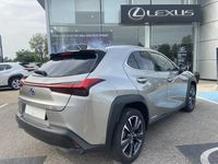 Occasion Lexus UX 250h 152 ch (111 kW) 2021 SUV