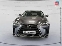 Occasion Lexus NX450h+ 188 ch (138 kW) 2023 Gris de payne métallisé SUV