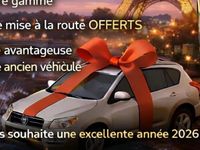 Occasion Toyota RAV4 Lounge 150 ch (110 kW) 2009 Gris SUV