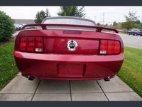 occasion Ford Mustang GT CABRIOLET V8