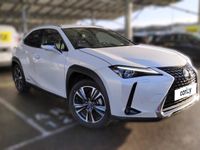 occasion Lexus UX 250h 2WD Luxe